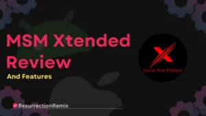 MSM Xtended Review