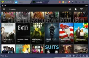 Cyberflix For PC